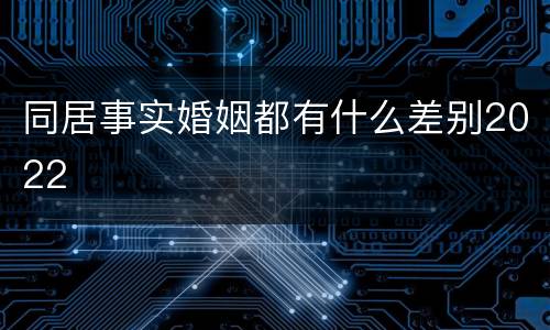 同居事实婚姻都有什么差别2022