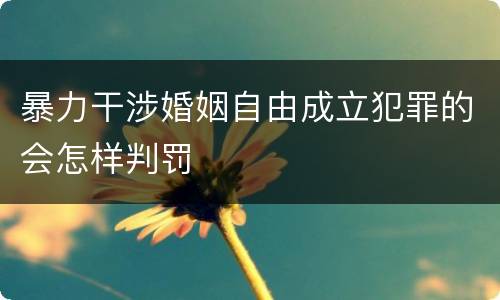 暴力干涉婚姻自由成立犯罪的会怎样判罚