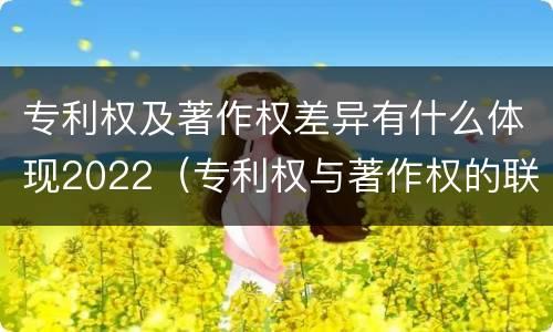 专利权及著作权差异有什么体现2022（专利权与著作权的联系）