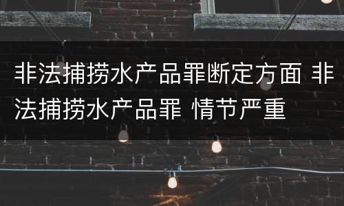 非法捕捞水产品罪断定方面 非法捕捞水产品罪 情节严重