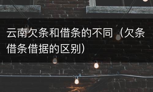 云南欠条和借条的不同（欠条借条借据的区别）