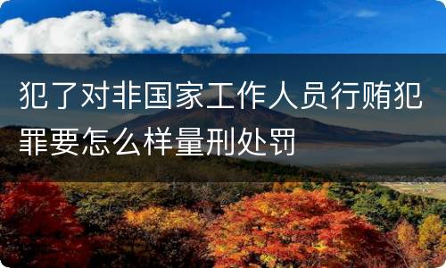 犯了对非国家工作人员行贿犯罪要怎么样量刑处罚