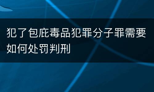 犯了包庇毒品犯罪分子罪需要如何处罚判刑