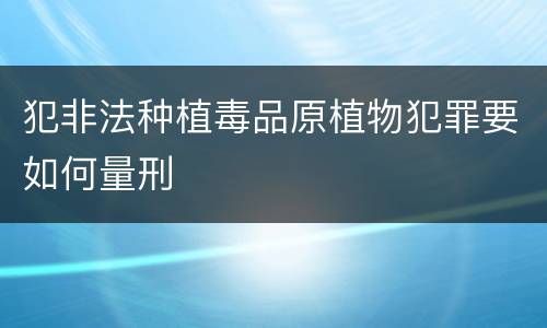 犯非法种植毒品原植物犯罪要如何量刑