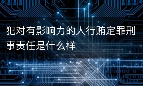 犯对有影响力的人行贿定罪刑事责任是什么样