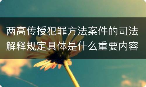 两高传授犯罪方法案件的司法解释规定具体是什么重要内容