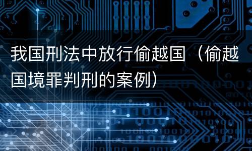 我国刑法中放行偷越国（偷越国境罪判刑的案例）