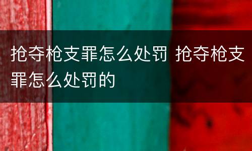 抢夺枪支罪怎么处罚 抢夺枪支罪怎么处罚的