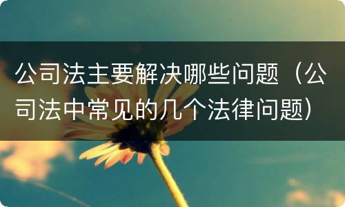 公司法主要解决哪些问题（公司法中常见的几个法律问题）