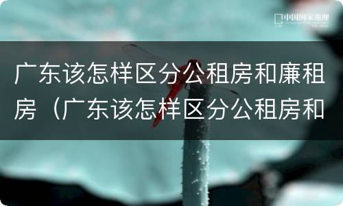 广东该怎样区分公租房和廉租房（广东该怎样区分公租房和廉租房的区别）