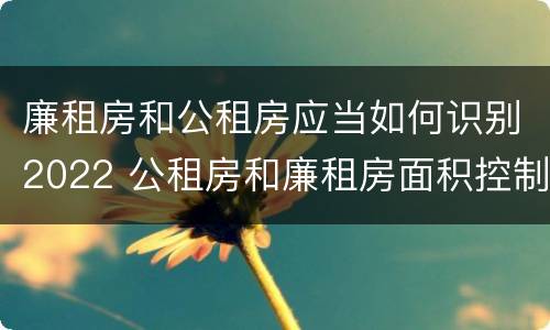 廉租房和公租房应当如何识别2022 公租房和廉租房面积控制标准