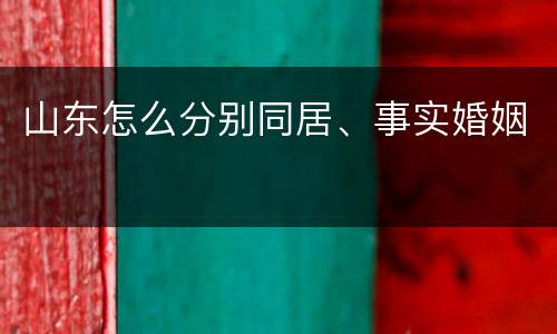 山东怎么分别同居、事实婚姻