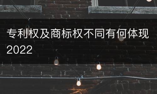 专利权及商标权不同有何体现2022