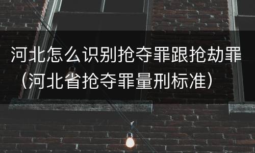 河北怎么识别抢夺罪跟抢劫罪（河北省抢夺罪量刑标准）