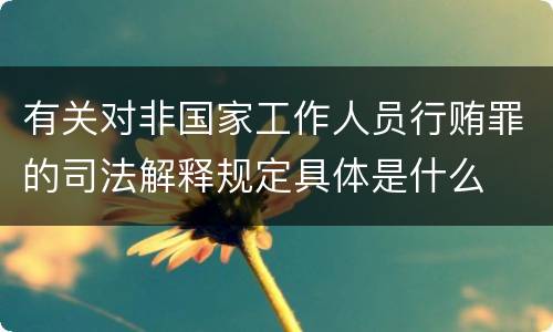 有关对非国家工作人员行贿罪的司法解释规定具体是什么