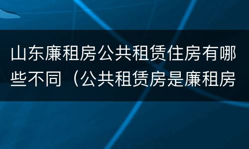 山东廉租房公共租赁住房有哪些不同（公共租赁房是廉租房吗）