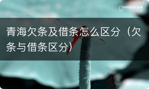青海欠条及借条怎么区分（欠条与借条区分）