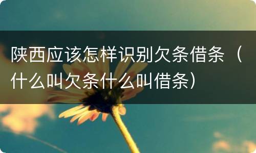 陕西应该怎样识别欠条借条（什么叫欠条什么叫借条）