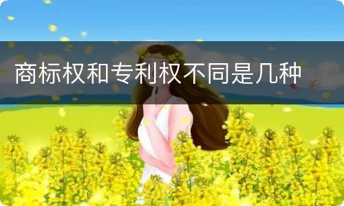 商标权和专利权不同是几种