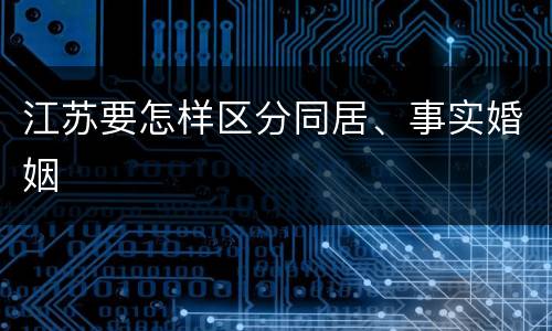 江苏要怎样区分同居、事实婚姻