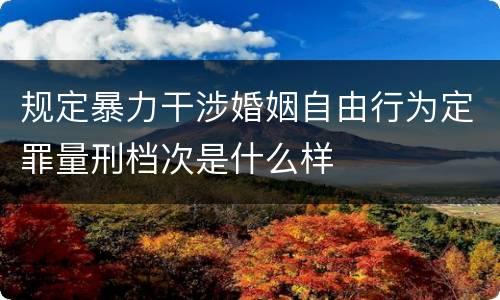 规定暴力干涉婚姻自由行为定罪量刑档次是什么样