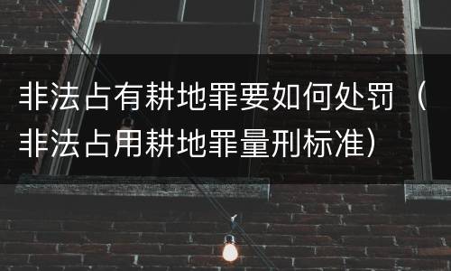 非法占有耕地罪要如何处罚（非法占用耕地罪量刑标准）