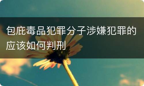 包庇毒品犯罪分子涉嫌犯罪的应该如何判刑