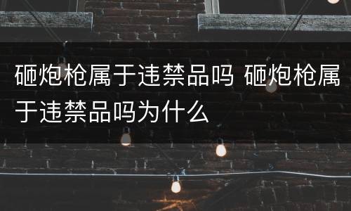 砸炮枪属于违禁品吗 砸炮枪属于违禁品吗为什么