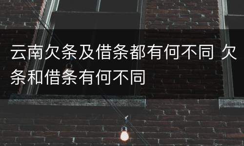 云南欠条及借条都有何不同 欠条和借条有何不同