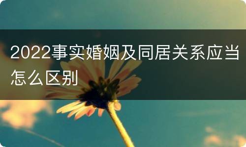 2022事实婚姻及同居关系应当怎么区别