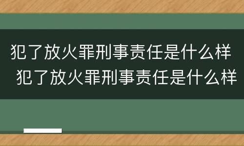 犯了放火罪刑事责任是什么样 犯了放火罪刑事责任是什么样的呢
