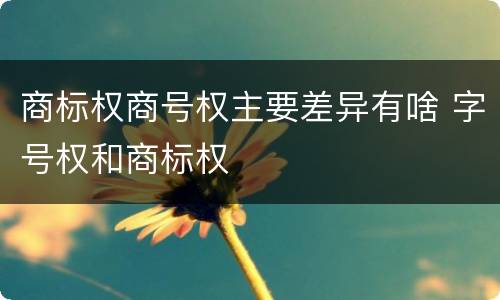商标权商号权主要差异有啥 字号权和商标权