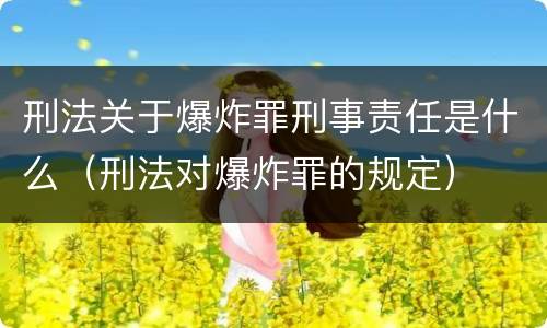 刑法关于爆炸罪刑事责任是什么（刑法对爆炸罪的规定）