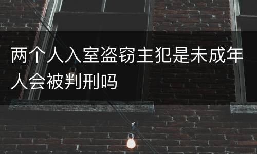 两个人入室盗窃主犯是未成年人会被判刑吗