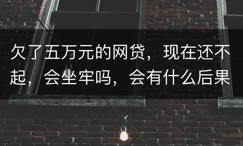 欠了五万元的网贷，现在还不起，会坐牢吗，会有什么后果呢