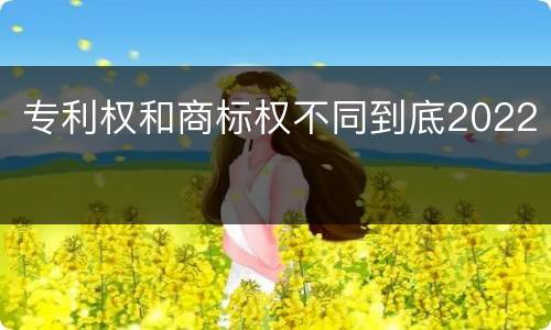 专利权和商标权不同到底2022