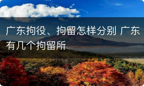 广东拘役、拘留怎样分别 广东有几个拘留所