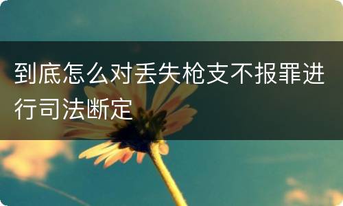 到底怎么对丢失枪支不报罪进行司法断定