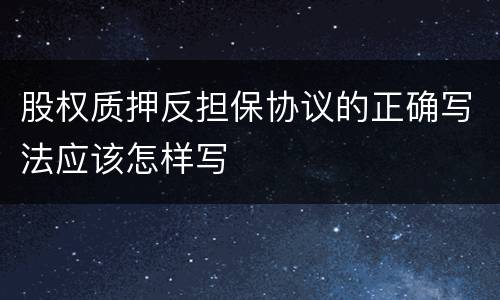 股权质押反担保协议的正确写法应该怎样写