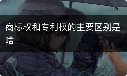 商标权和专利权的主要区别是啥