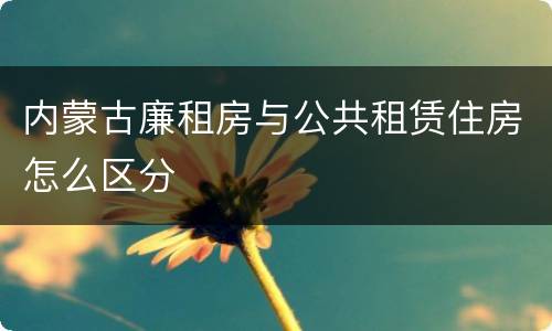 内蒙古廉租房与公共租赁住房怎么区分