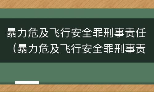 暴力危及飞行安全罪刑事责任（暴力危及飞行安全罪刑事责任主体）