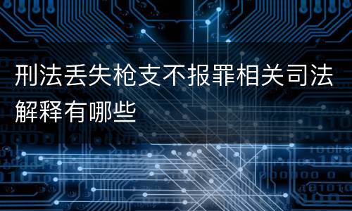 刑法丢失枪支不报罪相关司法解释有哪些