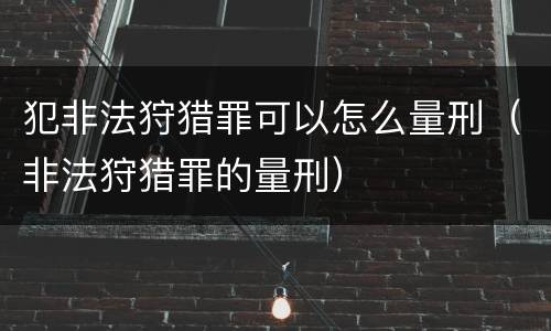 犯非法狩猎罪可以怎么量刑（非法狩猎罪的量刑）