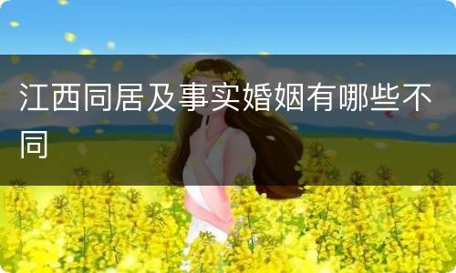 江西同居及事实婚姻有哪些不同