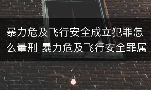 暴力危及飞行安全成立犯罪怎么量刑 暴力危及飞行安全罪属于什么犯