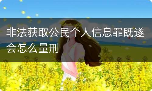 非法获取公民个人信息罪既遂会怎么量刑