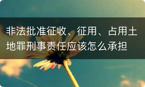 非法批准征收、征用、占用土地罪刑事责任应该怎么承担