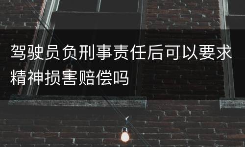 驾驶员负刑事责任后可以要求精神损害赔偿吗