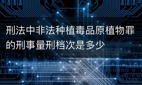 刑法中非法种植毒品原植物罪的刑事量刑档次是多少